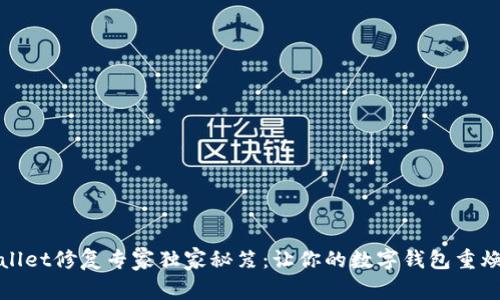 tpWallet修复专家独家秘笈：让你的数字钱包重焕生机