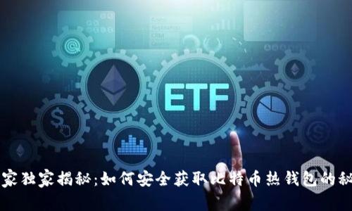 专家独家揭秘：如何安全获取比特币热钱包的秘诀