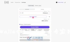 揭秘tpWallet助记词查看专家独家秘诀
