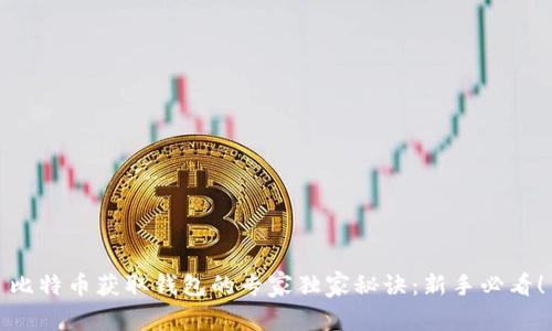 比特币获取钱包的专家独家秘诀：新手必看！