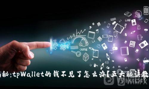 专家独家揭秘：tpWallet的钱不见了怎么办？五大秘诀教你快速找回