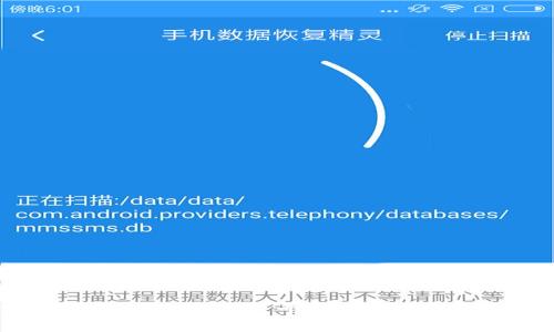 TPWallet苹果版下载秘籍：专家独家推荐安全使用指南