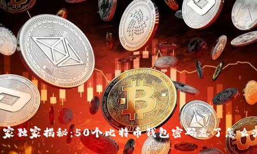 专家独家揭秘：50个比特币钱包密码忘了怎么办？