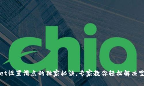 tpWallet设置滑点的独家秘诀，专家教你轻松解决空白问题