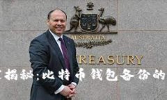专家独家揭秘：比特币钱包备份的终极