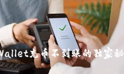 专家揭秘：tpWallet充币不到账的独家秘诀与解决方案