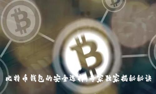 比特币钱包的安全选择：专家独家揭秘秘诀