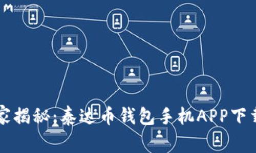 专家独家揭秘：泰达币钱包手机APP下载的秘诀