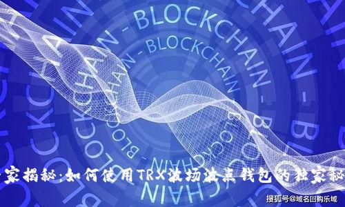 专家揭秘：如何使用TRX波场波点钱包的独家秘诀