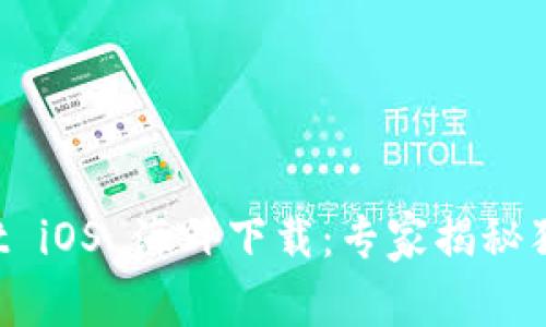 tpWallet iOS 海外下载：专家揭秘独家秘诀！