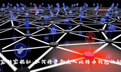 专家独家揭秘：如何将资金充入比特币钱包的秘诀