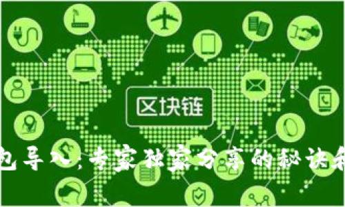 比特币钱包导入：专家独家分享的秘诀和实用技巧