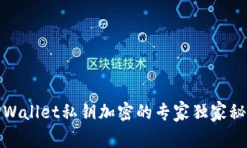 TPWallet私钥加密的专家独家秘诀