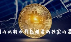 专家揭秘：国内比特币钱包爆雷的独家