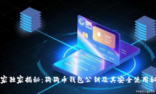 专家独家揭秘：狗狗币钱包公钥及其安全使用秘诀