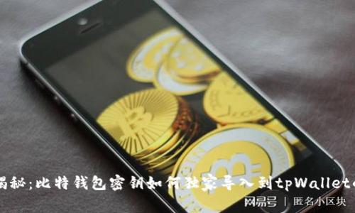 专家揭秘：比特钱包密钥如何独家导入到tpWallet的秘诀