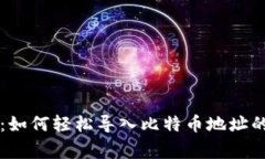 专家揭示：如何轻松导入比特币地址的
