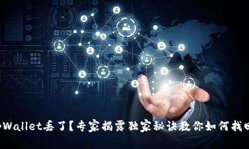 tpWallet丢了？专家揭露独家秘诀教你如何找回！