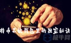 专家揭秘：比特币不放钱包里的独家秘
