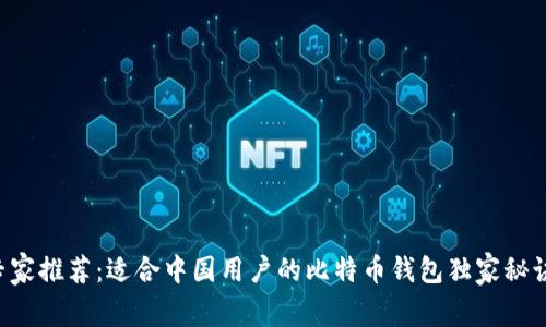 专家推荐：适合中国用户的比特币钱包独家秘诀！