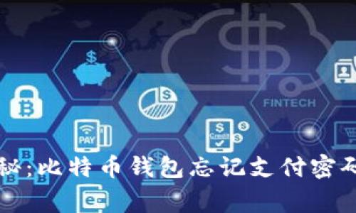 专家独家揭秘：比特币钱包忘记支付密码的解决秘诀