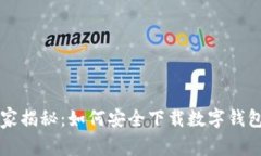 专家独家揭秘：如何安全下载数字钱包