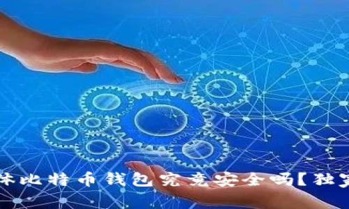 专家揭秘：实体比特币钱包究竟安全吗？独家秘诀告诉你！