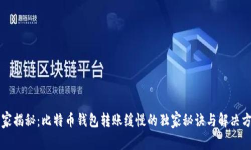 专家揭秘：比特币钱包转账缓慢的独家秘诀与解决方法