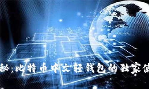 专家揭秘：比特币中文轻钱包的独家使用秘诀