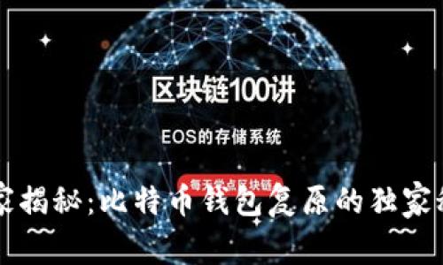 专家揭秘：比特币钱包复原的独家秘诀