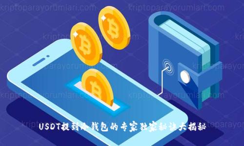 USDT提到冷钱包的专家独家秘诀大揭秘