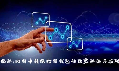 专家揭秘：比特币转账打错钱包的独家秘诀与应对策略