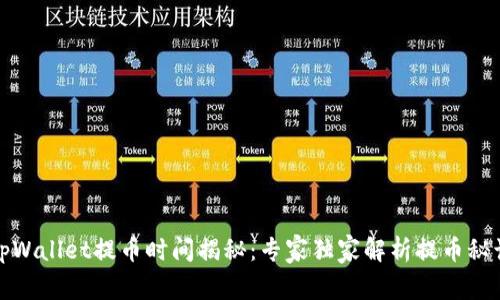 tpWallet提币时间揭秘：专家独家解析提币秘诀