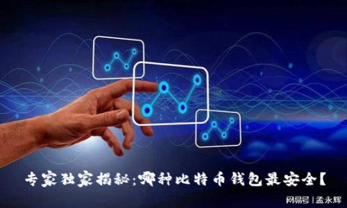专家独家揭秘：哪种比特币钱包最安全？