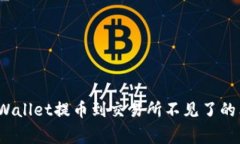 专家揭秘：tpWallet提币到交易所不见了