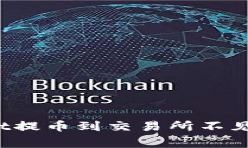 专家揭秘：tpWallet提币到交易所不见了的独家解决秘诀