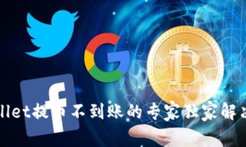 tpWallet提币不到账的专家独家解决秘诀