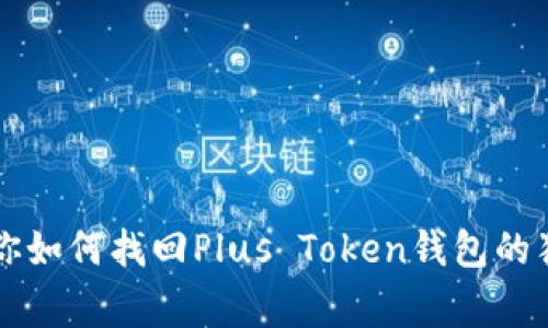 专家教你如何找回Plus Token钱包的独家秘诀