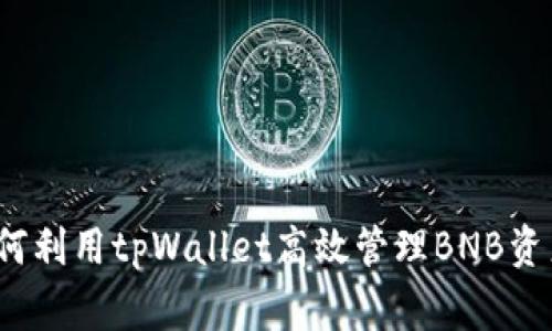 专家揭秘：如何利用tpWallet高效管理BNB资产的独家秘诀