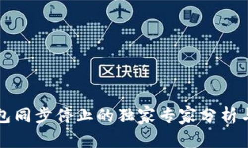 比特币钱包同步停止的独家专家分析与解决秘诀