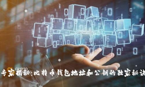 专家揭秘：比特币钱包地址和公钥的独家秘诀