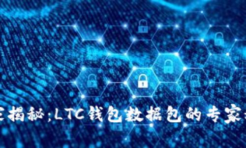 独家揭秘：LTC钱包数据包的专家秘诀