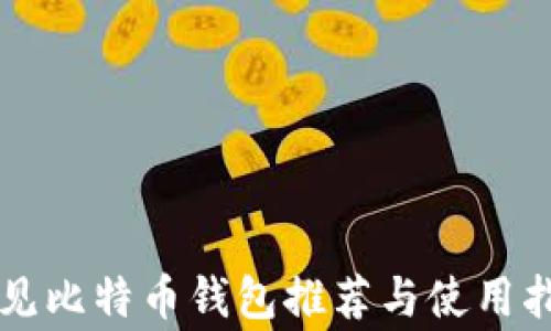 
常见比特币钱包推荐与使用指南
