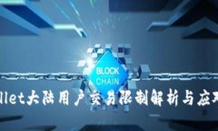 tpWallet大陆用户交易限制解析与应对策