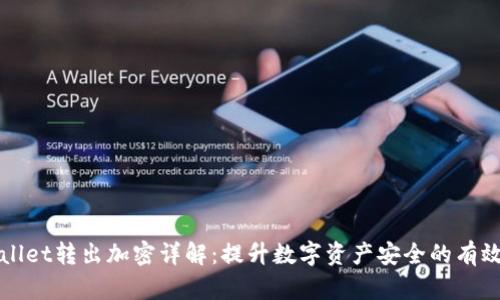 tpWallet转出加密详解：提升数字资产安全的有效方法