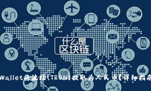 如何使用tpWallet将波场(TRON)提取为人民币？详细指南与常见问题