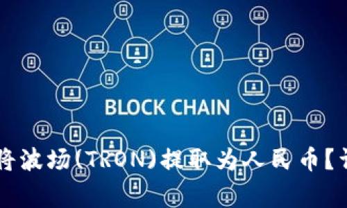 如何使用tpWallet将波场(TRON)提取为人民币？详细指南与常见问题