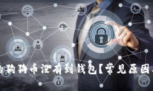 为什么我的狗狗币没有到钱包？常见原因及解决方案