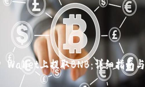 如何在TP Wallet上提取BNB：详细指南与常见问题