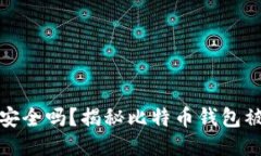 比特币钱包安全吗？揭秘比特币钱包被